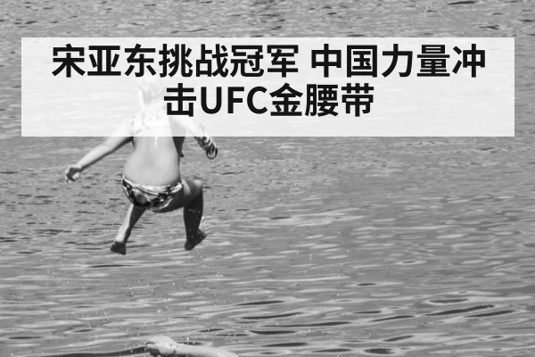 宋亚东挑战冠军 中国力量冲击UFC金腰带