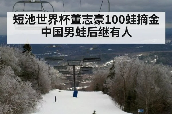 短池世界杯董志豪100蛙摘金 中国男蛙后继有人
